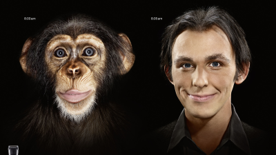 【ADS】カミソリの［BRAUN］が面白い広告を展開していました。