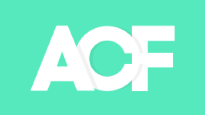 【WordPress Plugins】Advanced Custom Fields(ACF)で iframe や script が表示できなくなった件