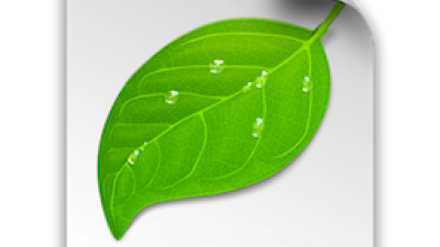 ［Coda］×［WordPress］で開発をスピードアップする拡張機能