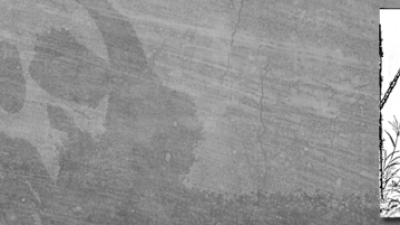 【WordPress】プラグイン［Crazy Bone］にXSS脆弱性が発見されたので使用を止めましょう。