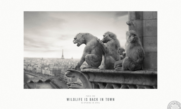 【ADS】パリ動物園のキャンペーン広告［Wildlife back in Paris］を紹介します。