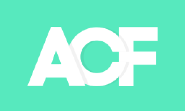 【WordPress Plugins】Advanced Custom Fields（ACF）で iframe や script が表示できなくなった件