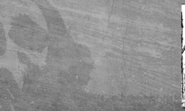 【WordPress】プラグイン［Crazy Bone］にXSS脆弱性が発見されたので使用を止めましょう。：サムネイル