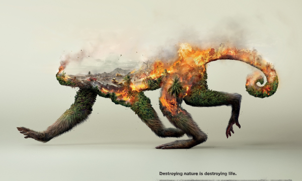 【ADS】ドイツの行動的環境団体［ロビン・ウッド］のポスター広告